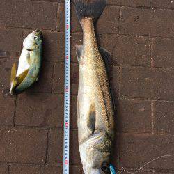 ポートアイランドでツーバスとシーバス!