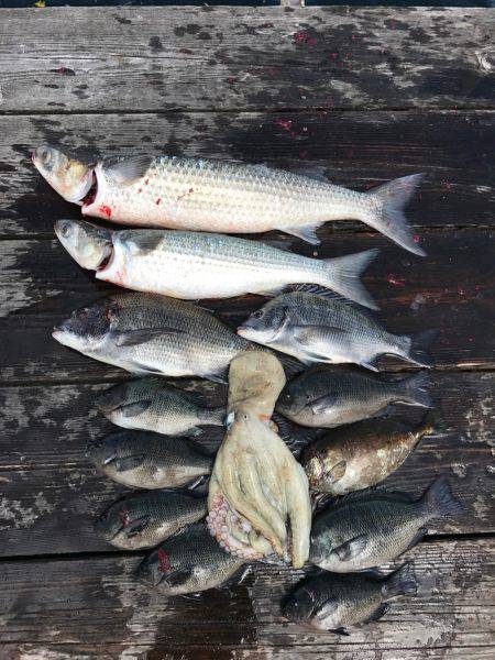 礫浦三吉丸筏での五目釣り