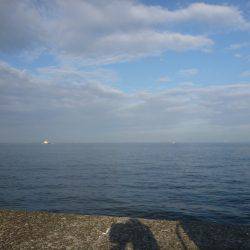 マッチ ザ ベイト⁈