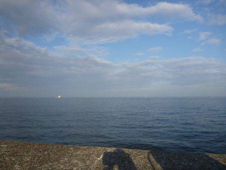 マッチ ザ ベイト⁈