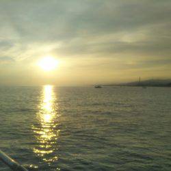 シーズン到来?タチウオ