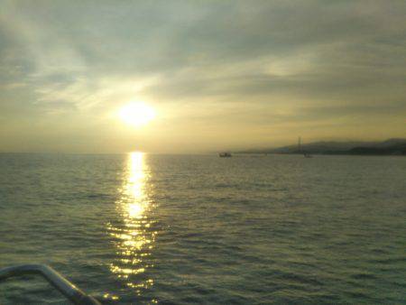 シーズン到来?タチウオ