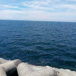 バラシまくり(´・д・`)