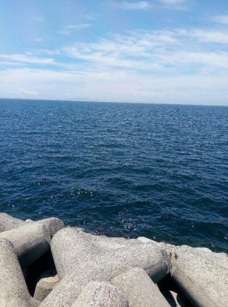 バラシまくり(´・д・`)