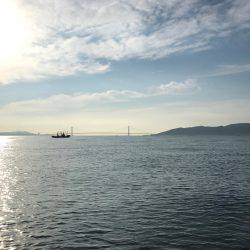 念願の明石鯛!!