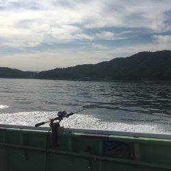 初 落とし込み釣り