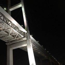 夜通しアジング…風、水深、ポイントに課題