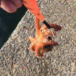 遠投で狙い撃ち！