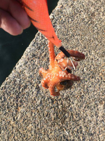 遠投で狙い撃ち！