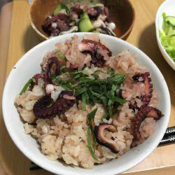 ツバス狙いのはずが