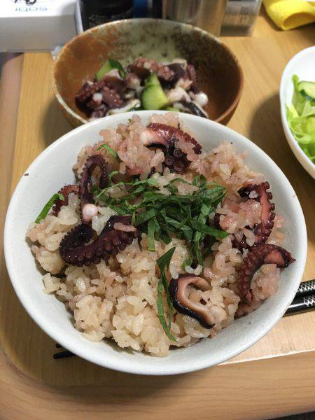 ツバス狙いのはずが