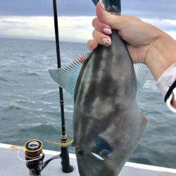 外房、大原漁港から１つテンヤ船