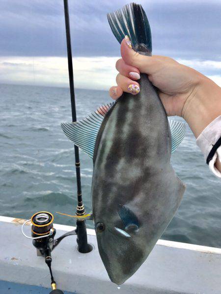 外房、大原漁港から１つテンヤ船