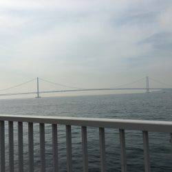 小サバと小メバル