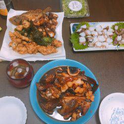 サバはいづこへ、、、