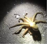 ギリギリお持ち帰りサイズ。