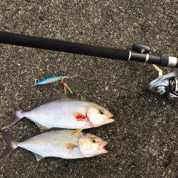 入野漁港周辺にて