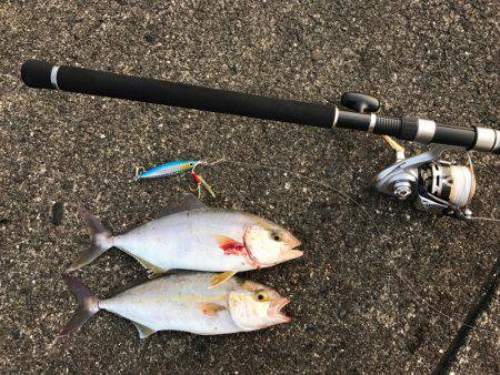 入野漁港周辺にて