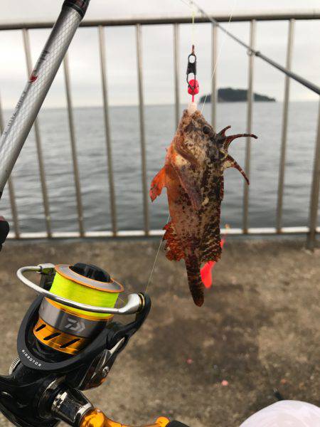 うみかぜ公園、初チャレンジ！