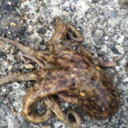 リベンジ出来ました(^ ^)