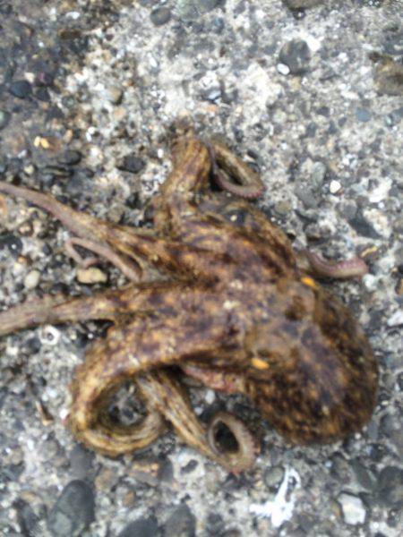 リベンジ出来ました(^ ^)