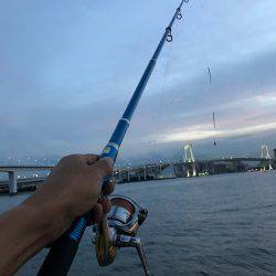 フッコ、セイゴ！