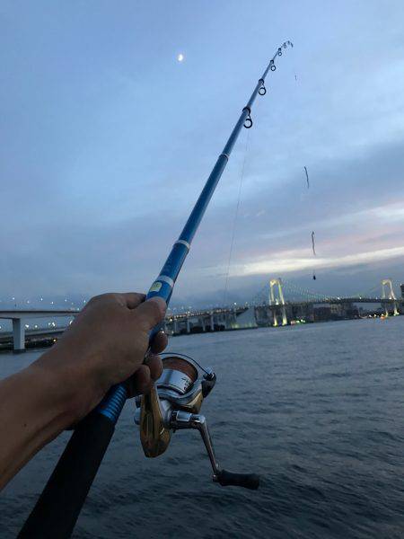 フッコ、セイゴ！