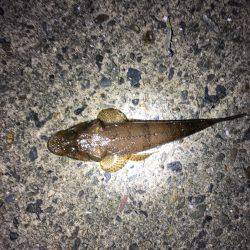 小さいながらも