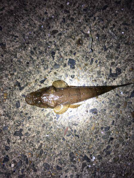 小さいながらも