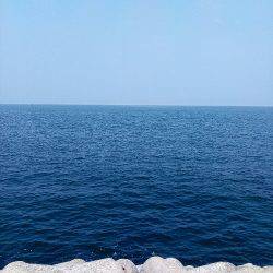 折れた(´・д・｀)