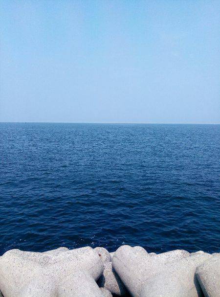 折れた(´・д・｀)