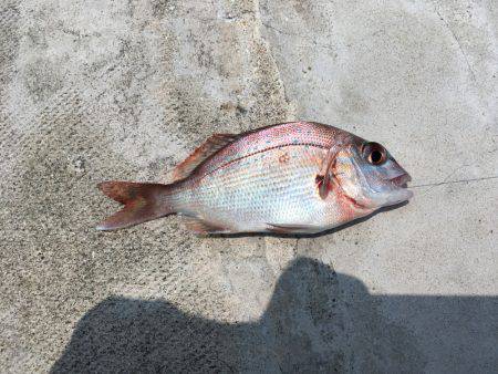 まだ早いかな？