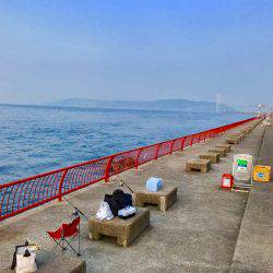 ちょい投げ釣行