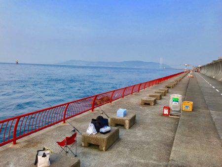 ちょい投げ釣行