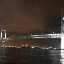 アジの回遊なし！？