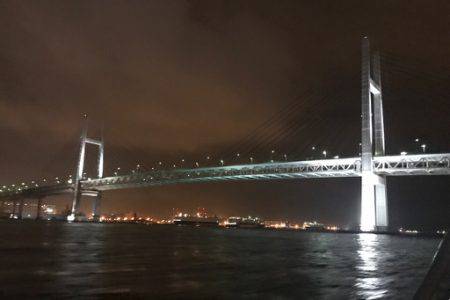 アジの回遊なし！？