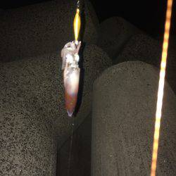 神明ライトエギング