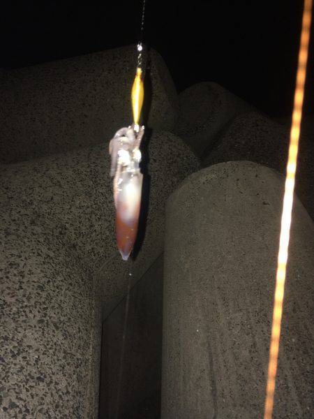 神明ライトエギング