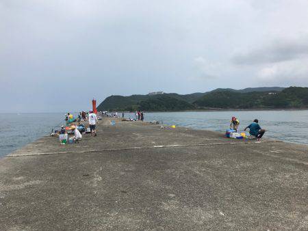 リハビリアジング。