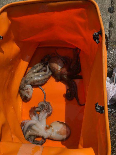 夜勤前にちょっと