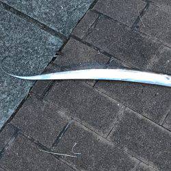 神戸 ポートアイランド タチウオ