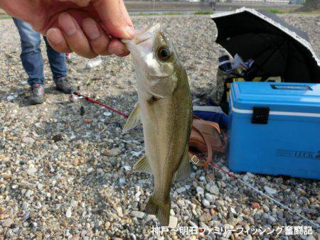 大キス狙いのはずが・・・まっいいか