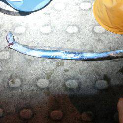 大潮満潮時の海水の上昇には気を付けてね