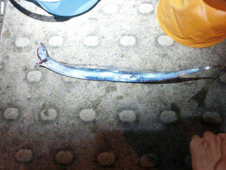 大潮満潮時の海水の上昇には気を付けてね