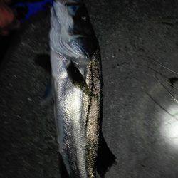 コアマン推し②