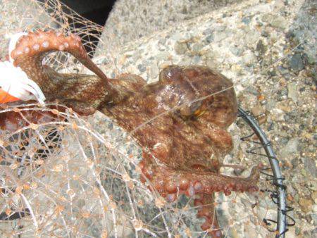 遠投＆深場狙い