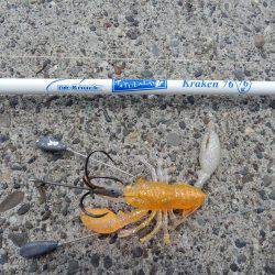 久しぶりのお持ち帰り！