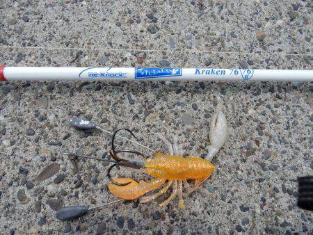 久しぶりのお持ち帰り！