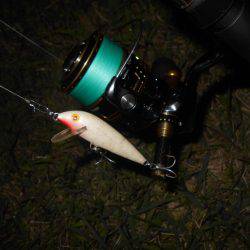 テトラ際でヒット♪