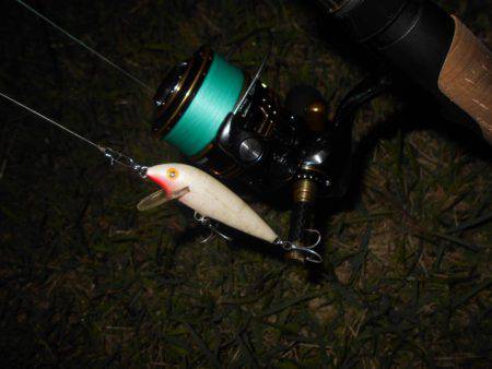 テトラ際でヒット♪